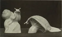 An illustration from International studio (1897)