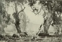 An illustration from International studio (1897)