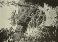 An illustration from International studio (1897)