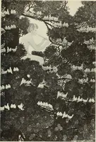 An illustration from International studio (1897)