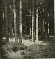 Picture 270 of 466 from International studio (1897), leaf 249