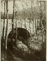 Picture 271 of 466 from International studio (1897), leaf 250