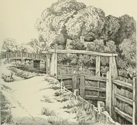 Picture 291 of 466 from International studio (1897), leaf 272