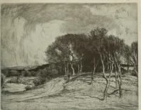 Picture 336 of 466 from International studio (1897), leaf 326