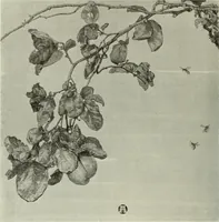 An illustration from International studio (1897)