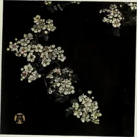Picture 345 of 466 from International studio (1897), leaf 334