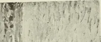 Picture 359 of 466 from International studio (1897), leaf 350