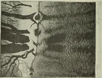 An illustration from International studio (1897)