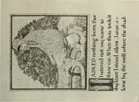 Picture 382 of 466 from International studio (1897), leaf 366