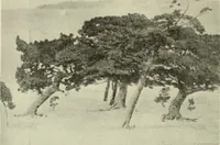 Picture 428 of 466 from International studio (1897), leaf 415
