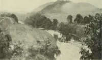 Picture 429 of 466 from International studio (1897), leaf 415