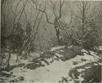 Picture 91 of 466 from International studio (1897), leaf 88