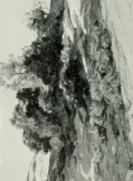 Picture 130 of 414 from International studio (1897), leaf 143