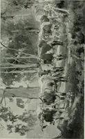 Picture 135 of 414 from International studio (1897), leaf 148