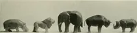 Picture 154 of 414 from International studio (1897), leaf 164
