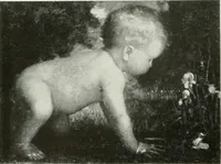 Picture 14 of 414 from International studio (1897), leaf 23