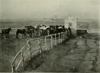 Picture 291 of 414 from International studio (1897), leaf 306