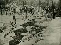 Picture 314 of 414 from International studio (1897), leaf 322