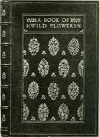 Picture 372 of 414 from International studio (1897), leaf 361