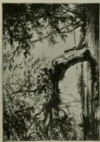 Picture 397 of 414 from International studio (1897), leaf 380