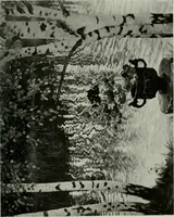 Picture 50 of 414 from International studio (1897), leaf 60