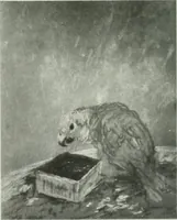 Picture 92 of 449 from International studio (1897), leaf 101