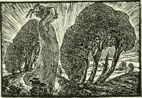 Picture 178 of 449 from International studio (1897), leaf 182