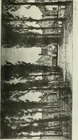 An illustration from International studio (1897)