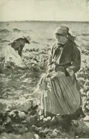 Picture 218 of 449 from International studio (1897), leaf 218