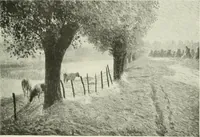 Picture 222 of 449 from International studio (1897), leaf 222