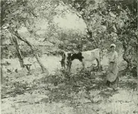 An illustration from International studio (1897)