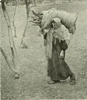 An illustration from International studio (1897)