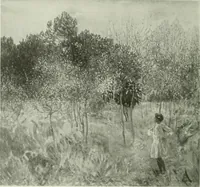 Picture 290 of 449 from International studio (1897), leaf 285