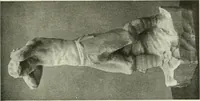Picture 318 of 449 from International studio (1897), leaf 316