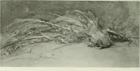 An illustration from International studio (1897)