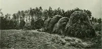 Picture 383 of 449 from International studio (1897), leaf 373