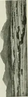 An illustration from International studio (1897)