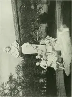 Picture 416 of 449 from International studio (1897), leaf 401