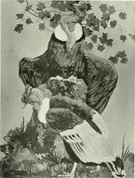 Picture 31 of 449 from International studio (1897), leaf 42