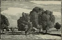 Picture 189 of 432 from International studio (1897), leaf 192