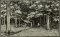 An illustration from International studio (1897)