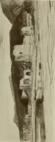 Picture 199 of 432 from International studio (1897), leaf 196
