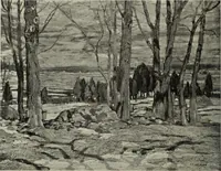 Picture 210 of 432 from International studio (1897), leaf 207