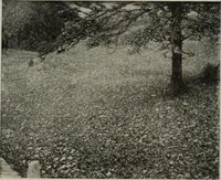 An illustration from International studio (1897)