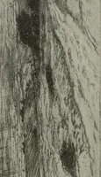 Picture 274 of 432 from International studio (1897), leaf 273