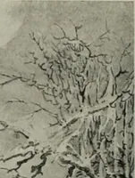 Picture 368 of 432 from International studio (1897), leaf 357