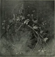 An illustration from International studio (1897)