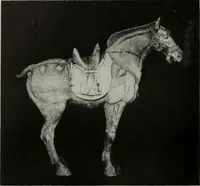 Picture 64 of 432 from International studio (1897), leaf 75
