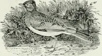 An illustration from International studio (1897)