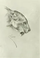 Picture 89 of 345 from International studio (1897), leaf 113